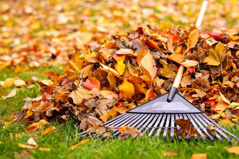 Benefits of Leaf Removal